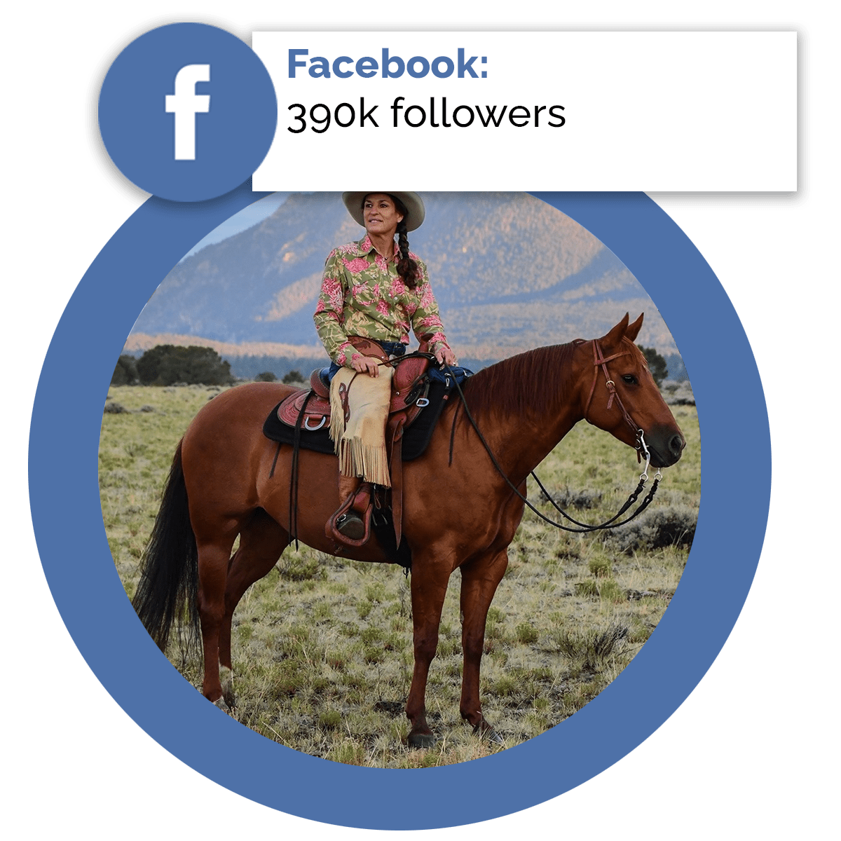 Facebook Followers
