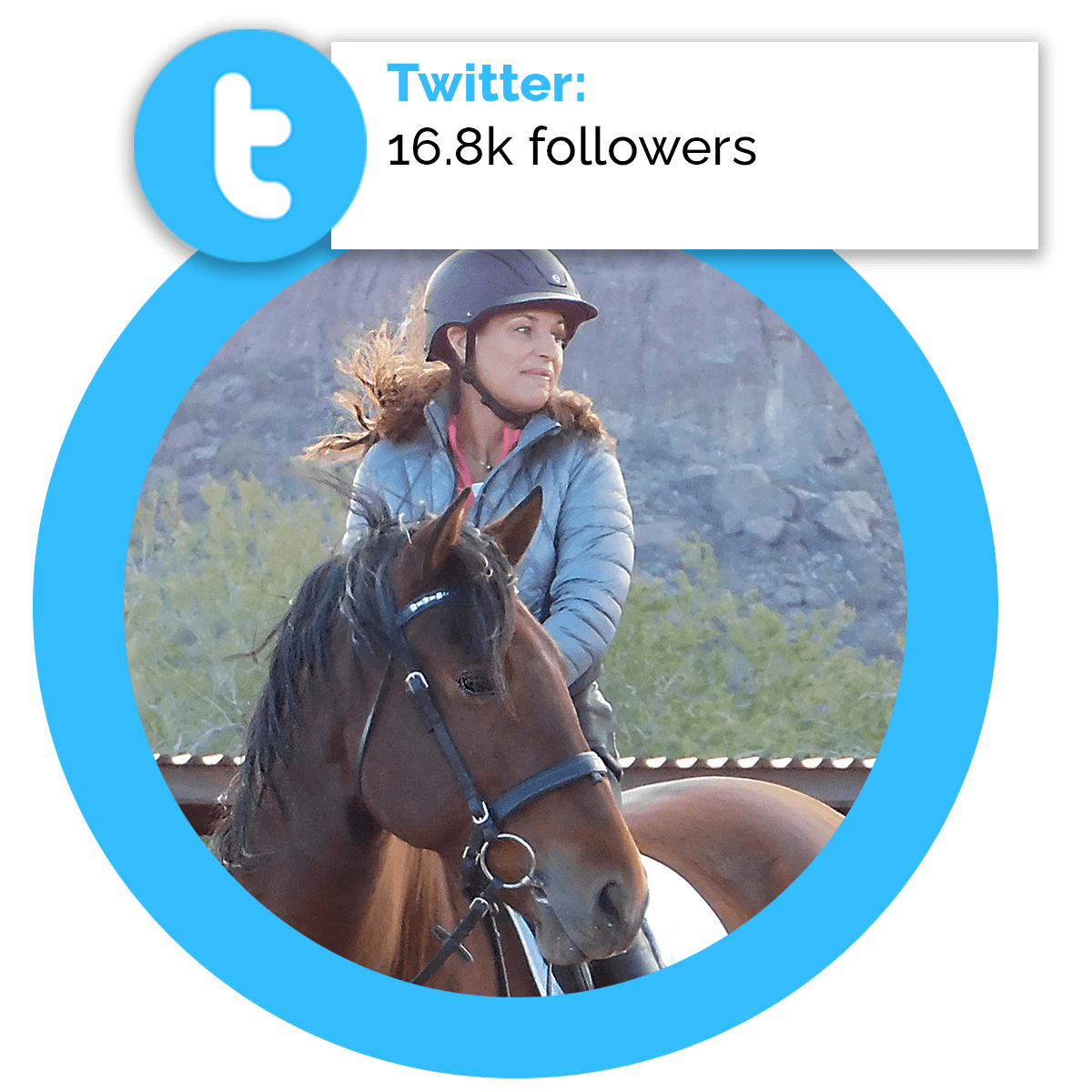 Twitter Followers