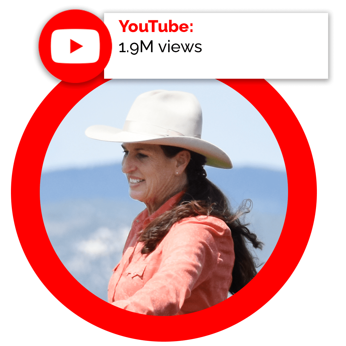 YouTube Video Views