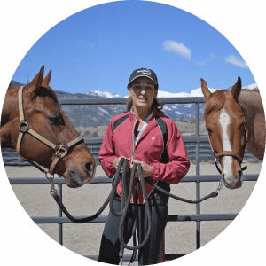 julie-showsheen-page-horses julie-showsheen-page-horses
